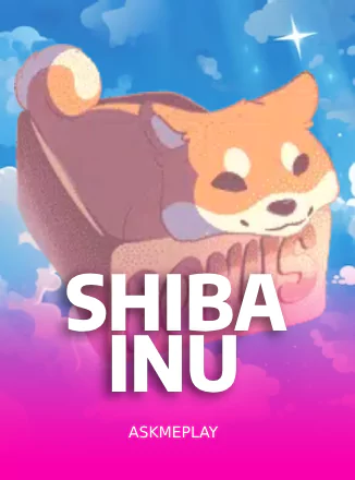 AMP Shiba Inu